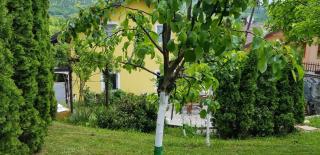 Alma's Sweet Home - Sarajevo - 2