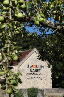 Le Moulin Babet - 3