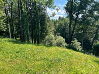 Un nid de verdure 1 ch - 1