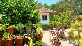 MARARI YOGA HOMESTAY - Mararikulam - 0