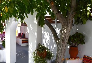 Mannas House 2 - Émbonas - 4