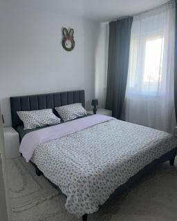 JessApartment - Cluj-Napoca - 3