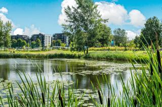 Spacious luxury apartment with parking - 7