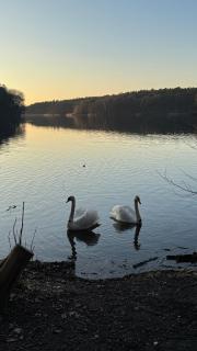 Lake House Hostel - 7