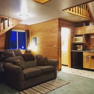 Susitna River Lodging, Riverside Cabins - Talkeetna - 9