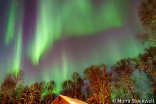 Susitna River Lodging, Riverside Cabins - 4