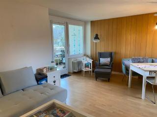 Gemütliche Wohnung Nahe Am See - Schluchsee - 7