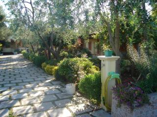 Residence Giardino - Vieste - 6