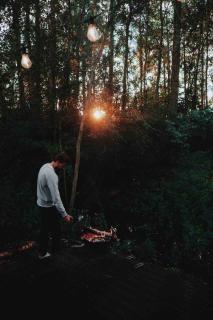 Les frenelles, Cabane à l'orée de la forêt - - 5