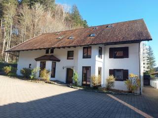 ESa Ferienwohnung - Natur & SPA - Ponyhof & Streichelzoo - Wiggensbach - 9