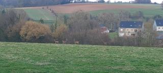 L'impasse de la colline - Preures - 6