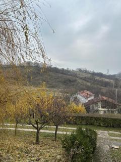 Kica Rooms - Pejë - 9