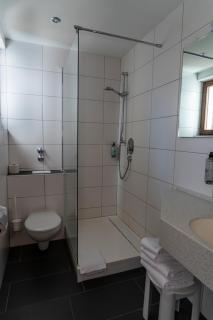 Wald- und Tagungshotel Geländer - Schernfeld - 4