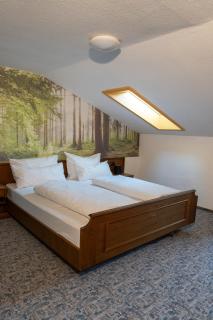 Wald- und Tagungshotel Geländer - Schernfeld - 1