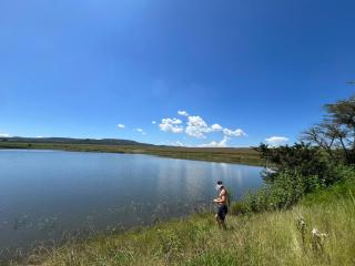 Berg guest farm - Winterton - 7