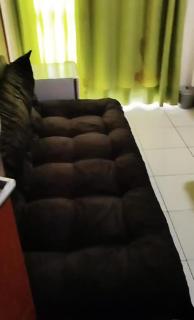Golden Dolphin Grand Hotel - Caldas Novas - 5