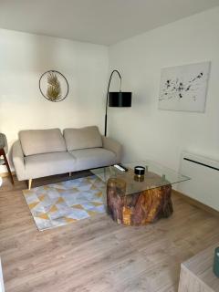 Le patio, T2 en centre ville - Montauban - 6