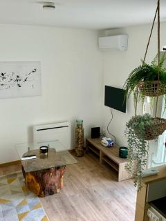 Le patio, T2 en centre ville - Montauban - 4