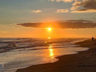 Private Beach-Private Pool-Easy walk to the Beach - Gulf Highlands - 7