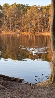 Lake House Hostel - Stettino - 8