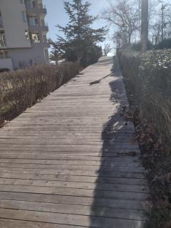 Slavi studios Exselsior, Sunny beach - Sunny Beach - 4