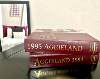 Aggieland Retreat - Bryan - 6
