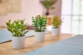 Rincón con Encanto en el Centro Histórico - 1