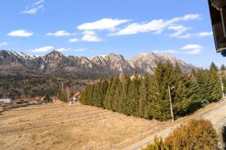 Mountain View Gem - Buşteni - 4