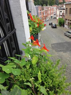 B&B Matin Tranquille - Liège - 9