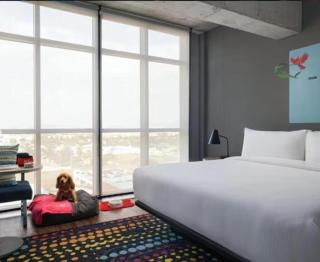 Aloft Guadalajara Sur - 1