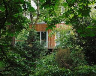 Waldhaus am Meer - Lubmin - 7