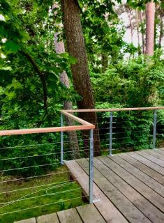 Waldhaus am Meer - Lubmin - 4