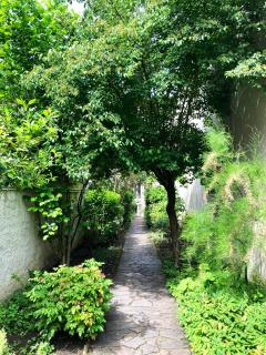 Appartement calme avec jardin - Fontenay-sous-Bois - 9