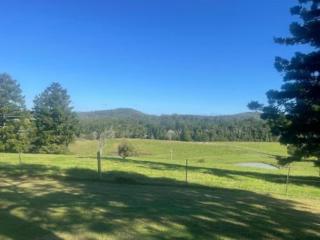 Fay's Cottage - Dorrigo - 2