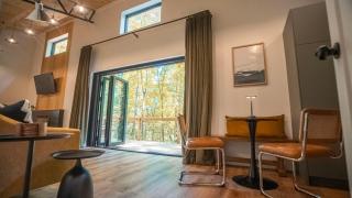 Rose Peak Loft - Blue Ridge - 8
