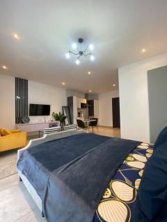 The signature premium studio - 4