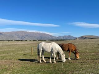 The Pyramid - Mauri Tau - Twizel - 6
