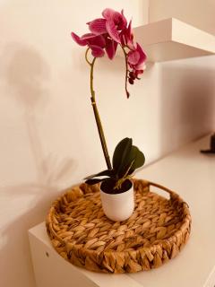 CarLuccia Apartment - 6