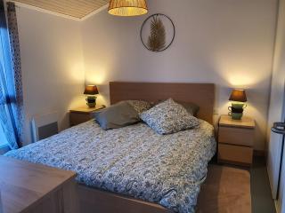 Appartement cosy et climatisé pour 1 à 4 personnes 150m place Gambetta - 8