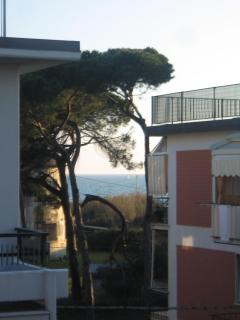 Villa Manuela Apartment - Marinella di Sarzana - 0
