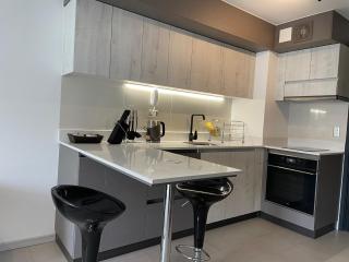 Departamento amoblado central - Temuco - 1