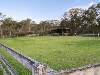 'Painted Gecko' Luxury Bush Retreat - Near Sydney - Kenthurst - 1