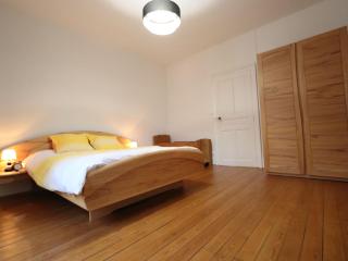 Appartement spacieux à Lunéville, proche des attractions - FR-1-584-366 - Lunéville - 4