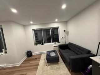 Fancy 1 bedroom Montreal - Montréal - 6