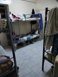 Palm Studio - Sharjah - 3