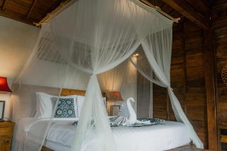 Taksu Villas Ubud - Ubud - 1