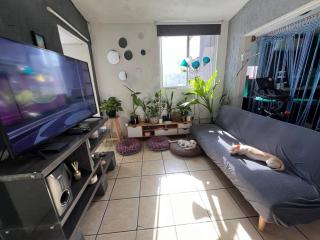 Habitación privada en un departamento compartido - Monterrey - 5