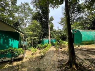The Culvert Taman Negara - 2