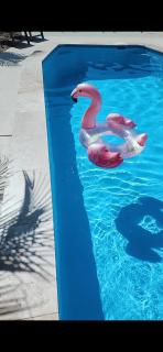 Casa Blanca-Lake side with pool - - 8