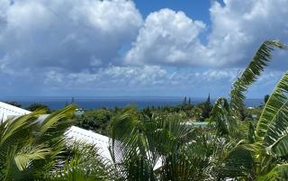 Villa Lagonéa, 4 bedrooms, private pool, terrace with view - Saint-François - 9